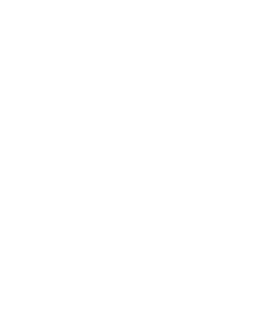 Company Responsibility